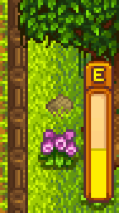 The Stardew Valley Energy Bar (at half full)