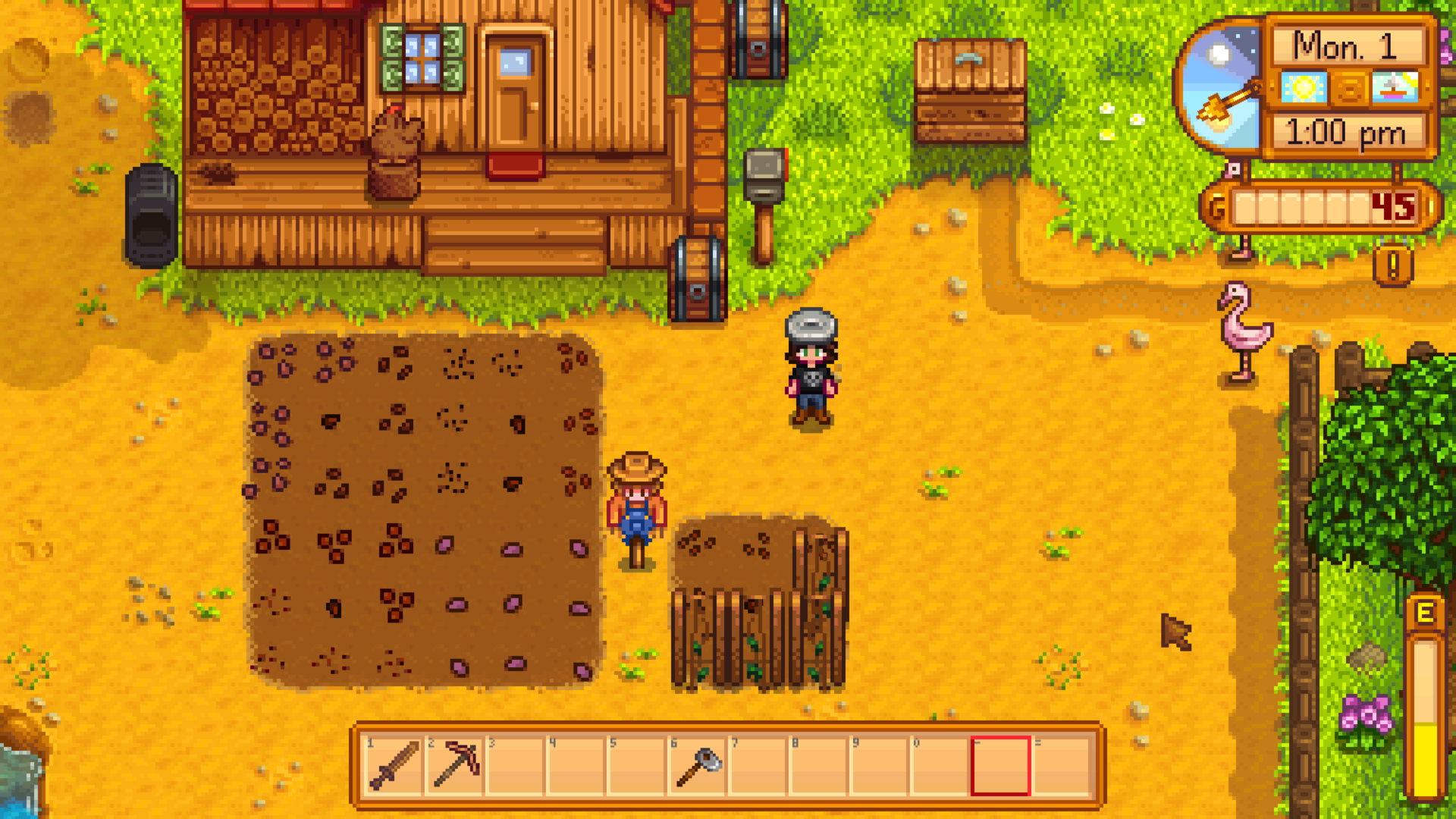A screenshot of Stardew Valley